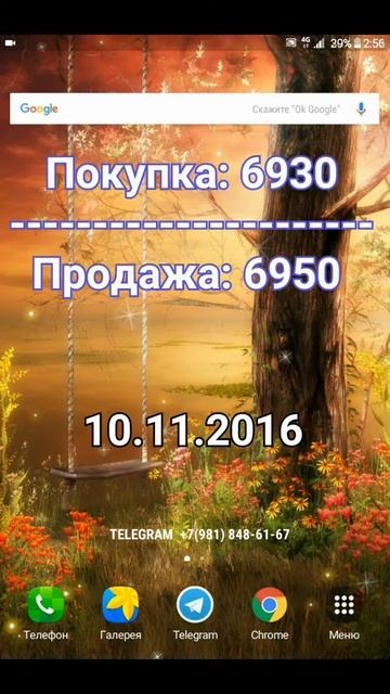 Реальный курс доллара в Узбекистане 10.11.2016