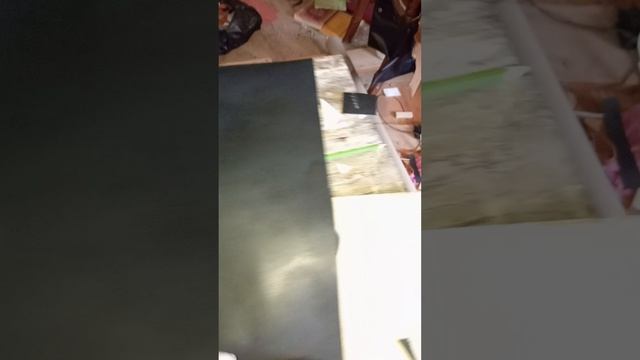VID_20250215_122110