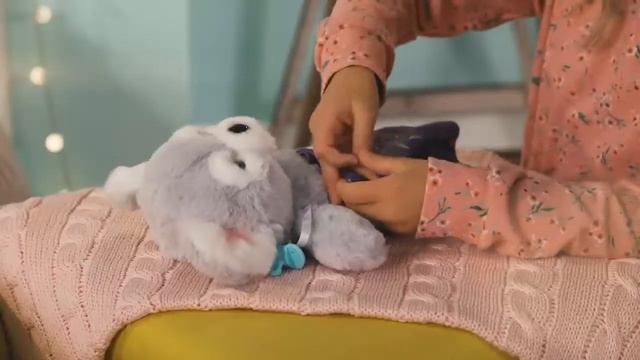 200915 Little Live Pets - Cozy Dozy Koala 20s FI Version