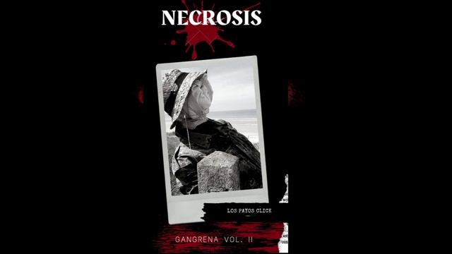 PUK X JL - NECROSIS