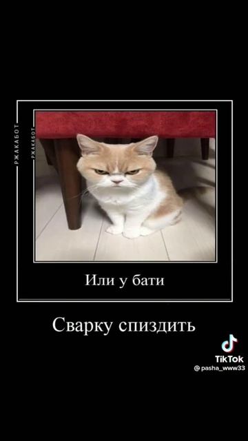 ви дорогие разработчики#чупачупс#странаменше#защищена#дорогиеразработчики