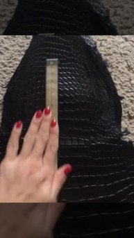 Шеи крокодила чёрного цвета крупные