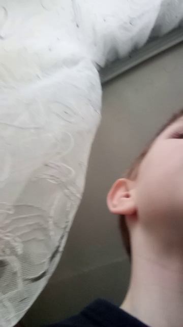 VID_20241124_110910.3gp