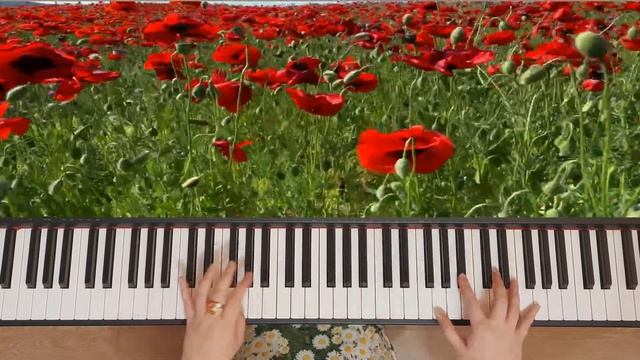 П. Сенневиль Полевые Цветы  (Paul de Sennevil | Wildflowers) | PIANO | Красивая фортепианная музыка