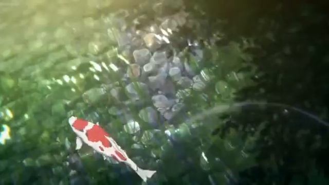 XXX TENTACION SAD!! (AMV)