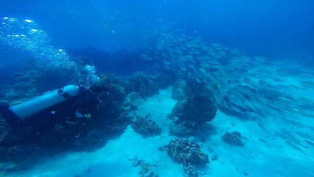 Koh Mak diving