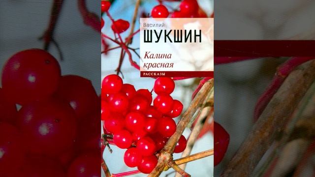 Калина красная. Повесть Василия Шукшина. Краткий пересказ.