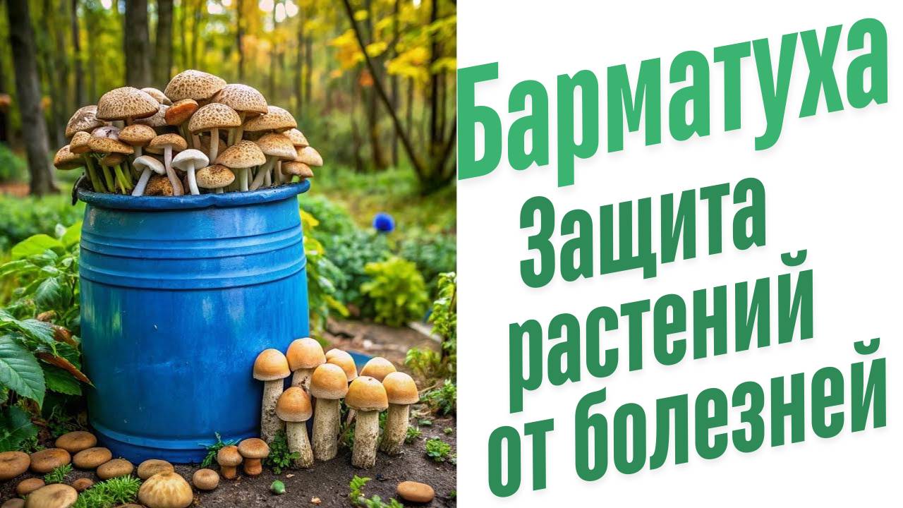 Иммунитет растений.
