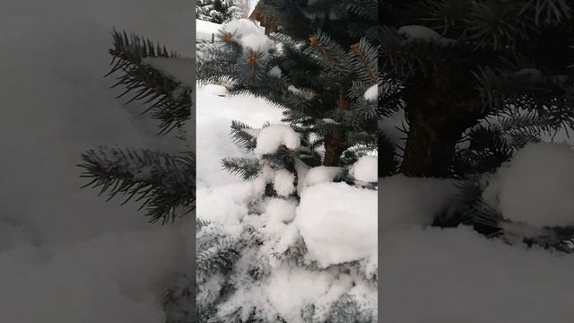 Упустила  солнце