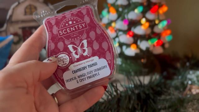Scentsy BBMB warm review Cranberry Mango January 2024 #scentsy #scentsybbmb