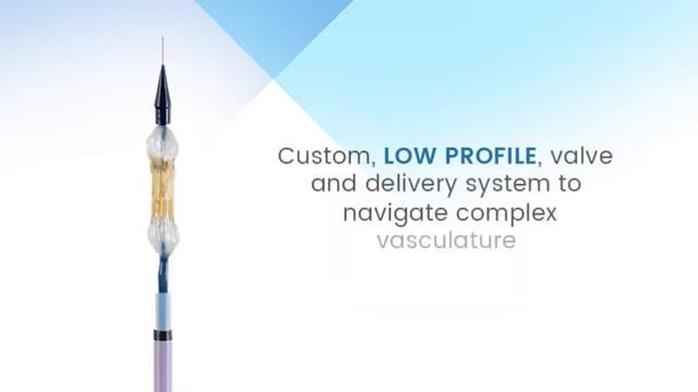 Colibri TAVI System