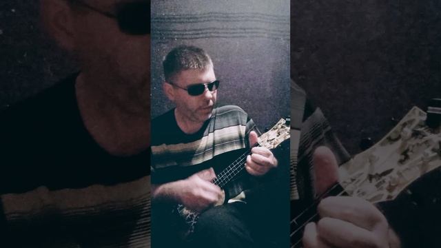 ЗАПОМНИ МЕНЯ ["ЗВЕРИ"] (УКУЛЕЛЕ, АКУСТИКА)