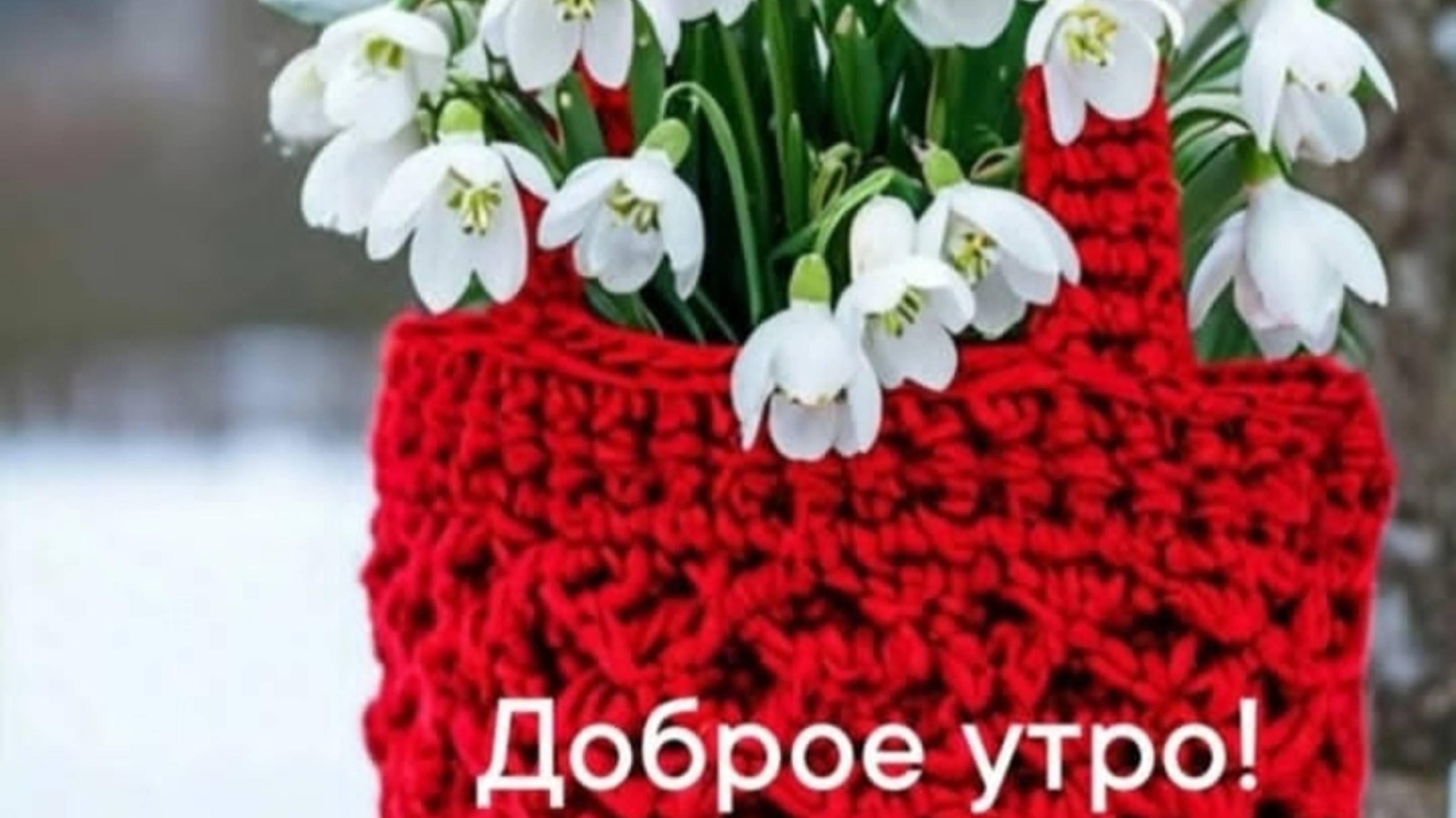 Доброго Утра!!!!! Счастливого Дня!!! И большой вам Привет от меня!!!!