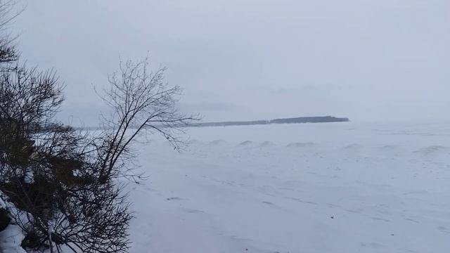 24 ноября 2024 г.