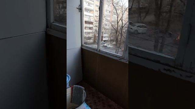 2-комнатная квартира в центре Воронежа (Продана)