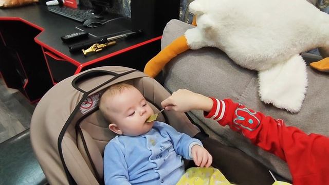 Дайте мне мой кабачок!