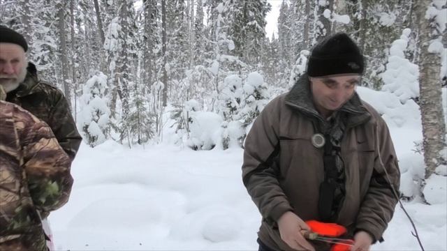 28 02 2021г отдых в лесу гриб чага-применение