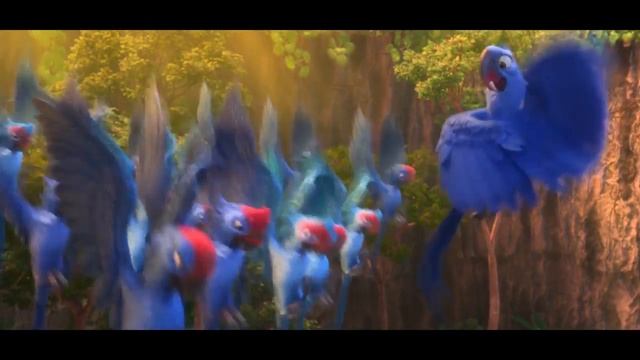 Rio 2 - Beautiful Creatures scene