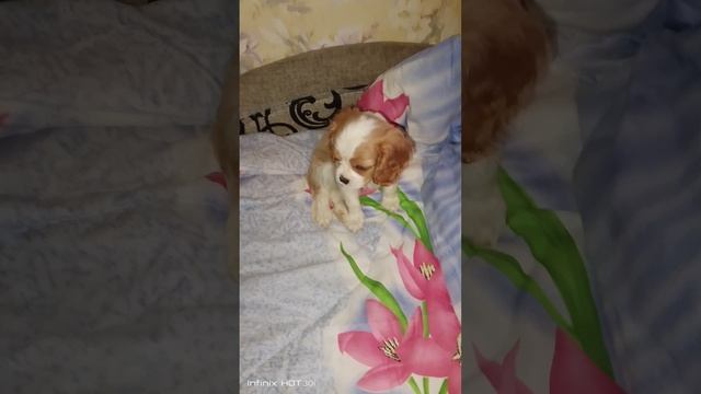 1000036317.mp4