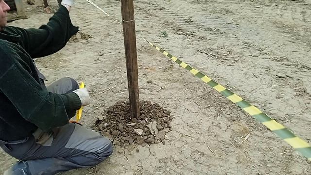 VID_20230427_095147.mp4