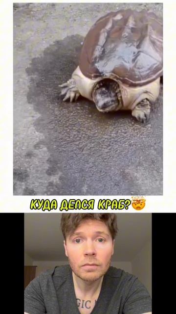 Вот это фокус🤯