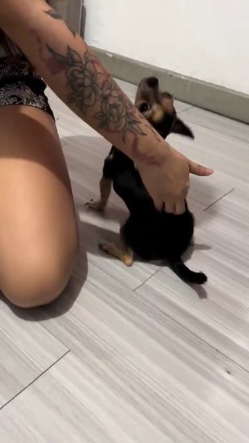1000073745.mp4
