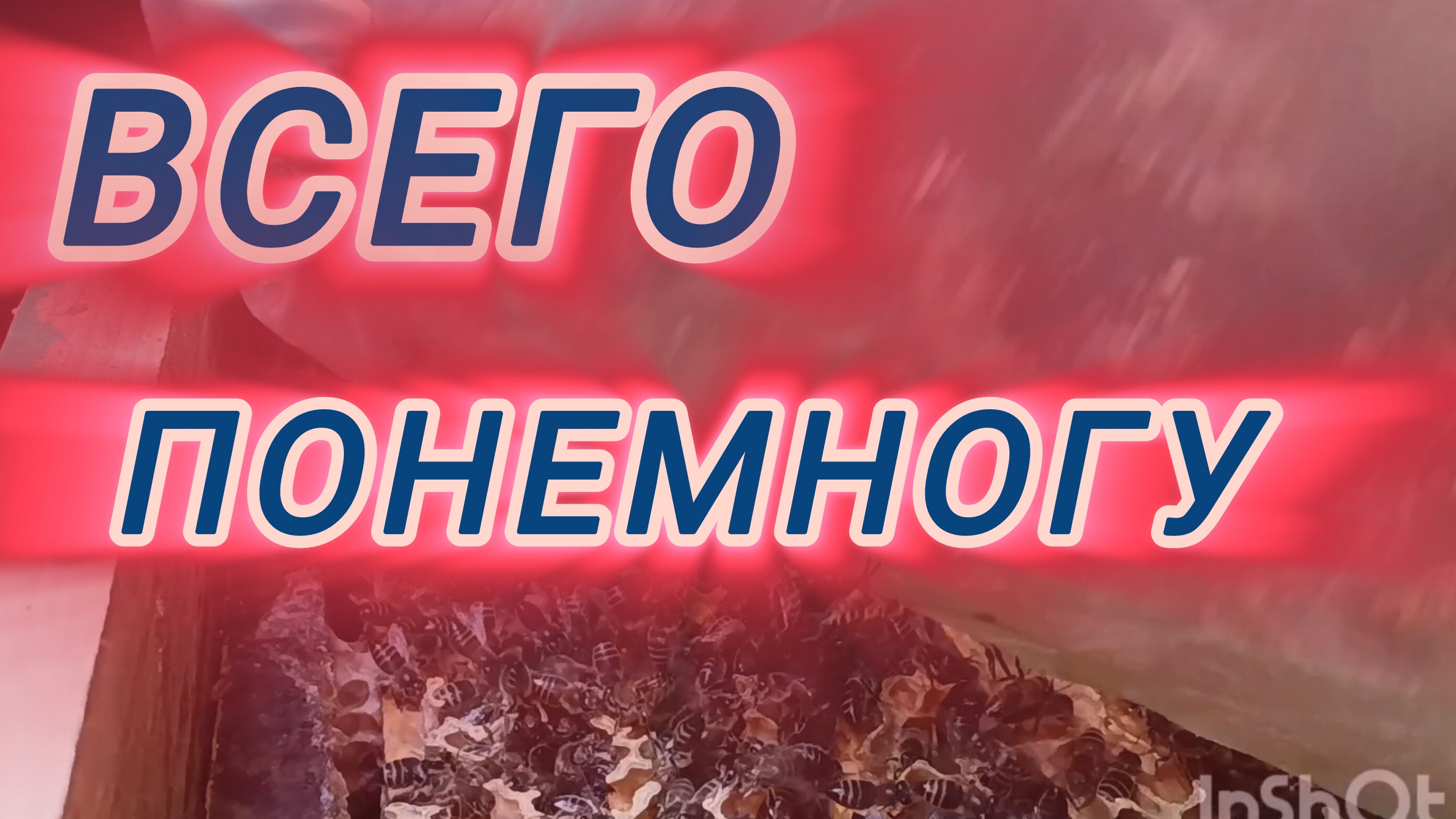 Всего понемногу