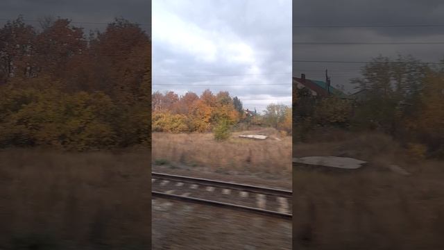 1000030439.mp4Р.Ж.Д.15.02.2025г.