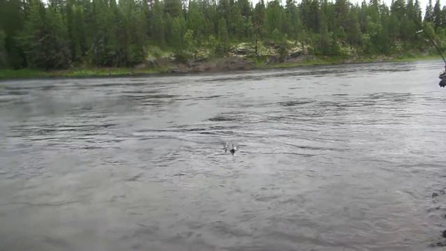 Кольский 2012 281