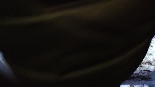 13 февраля 2025 г. Автобус 326 маршрут МАЗ-203 8207 Дунайский Проспект