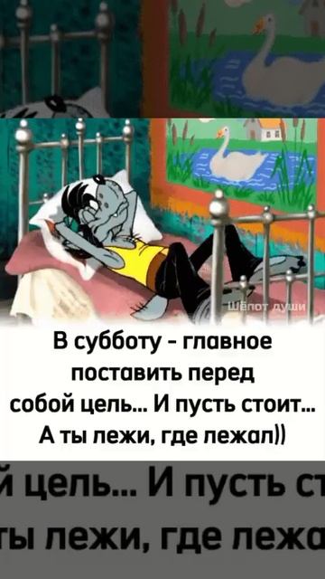 видио1