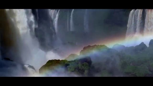 Видео устранит любую боль человека
