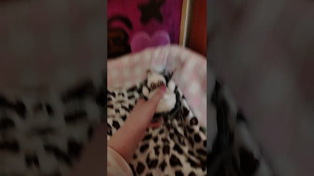 Обзор на спальное место Полины.
