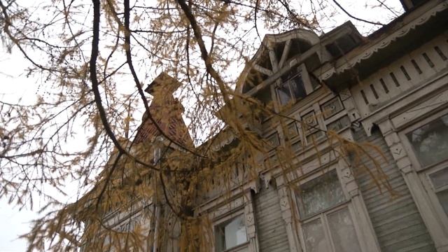ГОРОХОВЕЦ ТИЗЕР