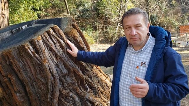 Мамонты среди нас