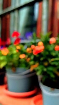 ЧУДЕСНЫЙ ПОЗИТИВ