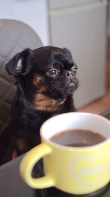 Когда обиделась на него, но он приготовил вкусный завтрак