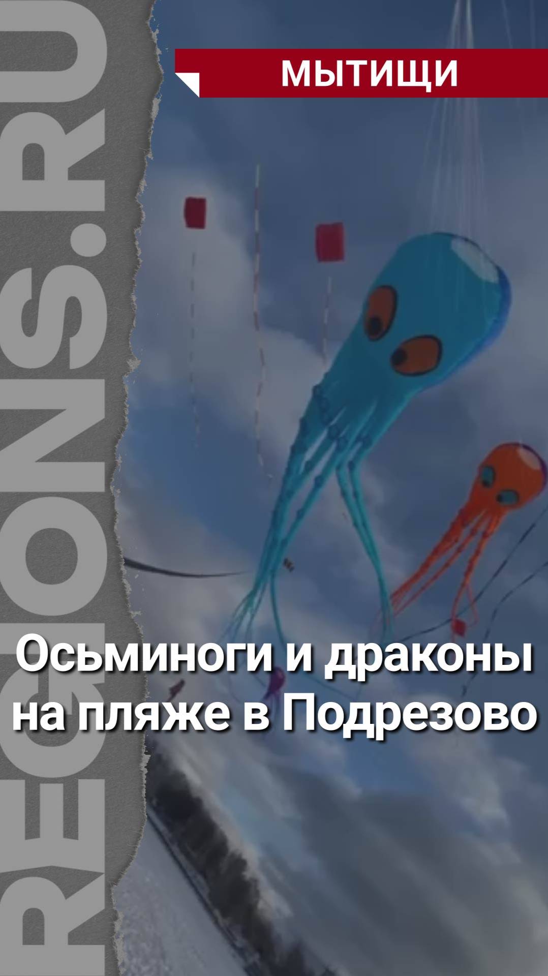 Воздушные змеи оккупировали небо