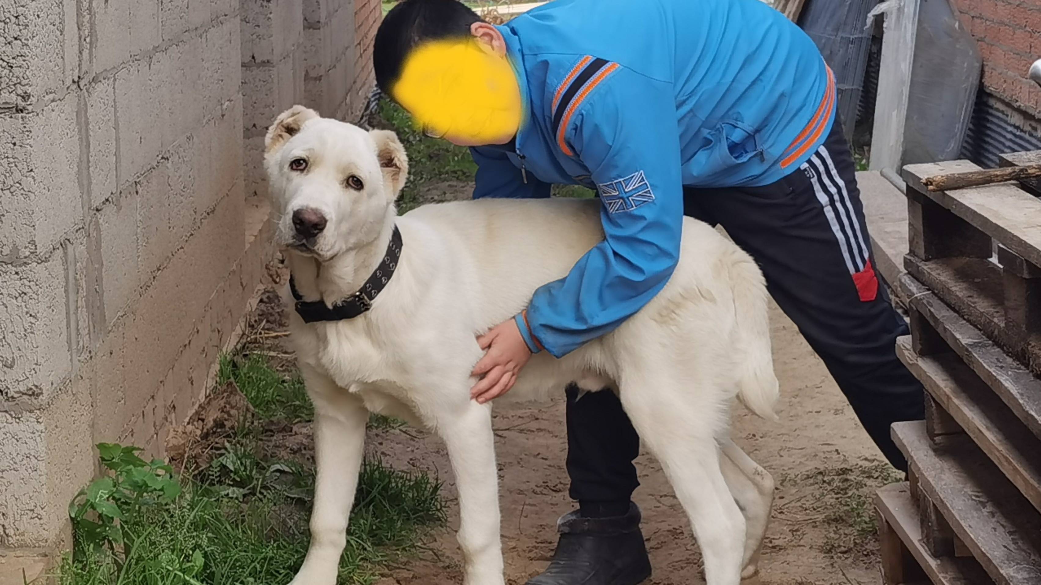 Ахтар (5 месяцев)