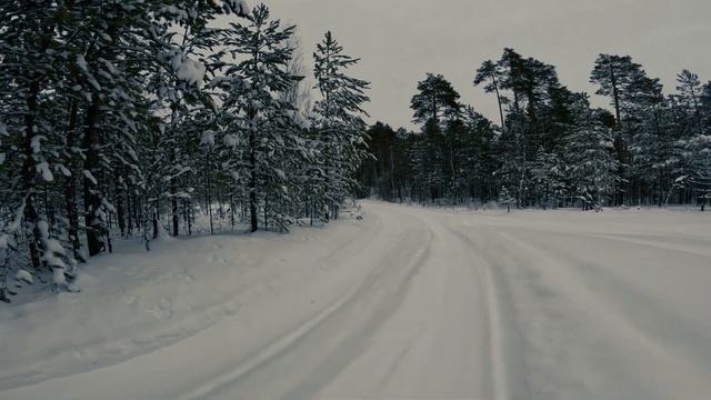 Охота на рябчика и тетерева: осенние и зимние прогулки по лесу! ❄️