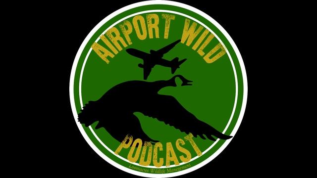 Airport Wild! - Episode 002: Resources for Bird ID'ing