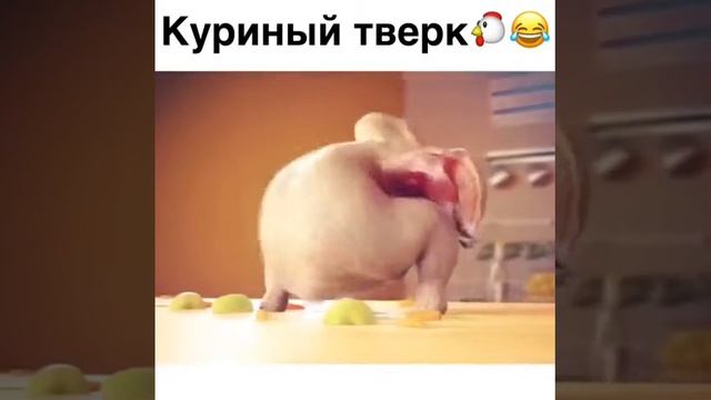 Куриный тверк, тест на психику, кто заржет тот ставит лайк и подписывается)