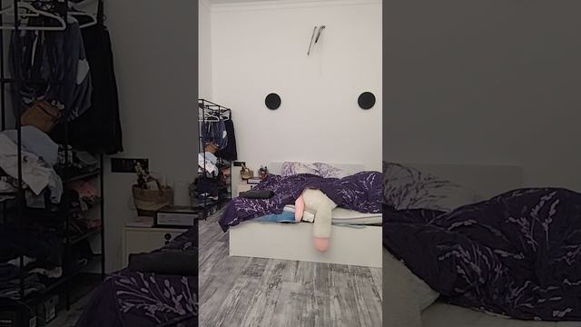 Игра в кальмара