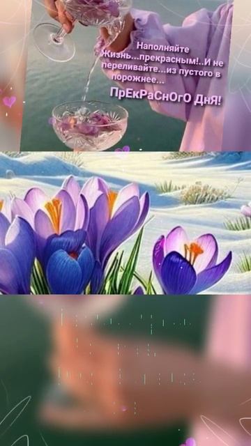 Доброе утро! Доброго и солнечного дня!
