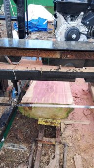 Структура разных пород деревьев