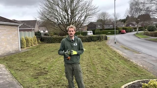 Get RID of MOSS in your LAWN / Low Budget Lawncare
