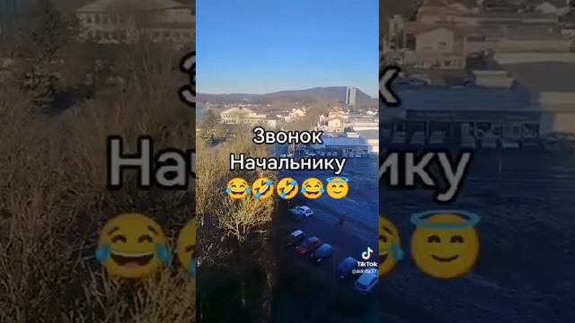 звонок начальнику не много юмора