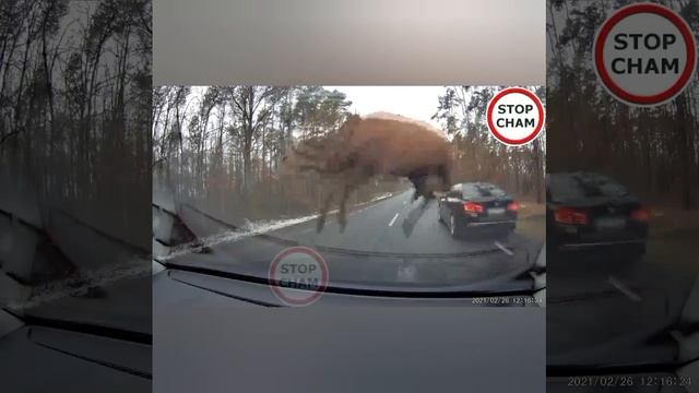 аварии
