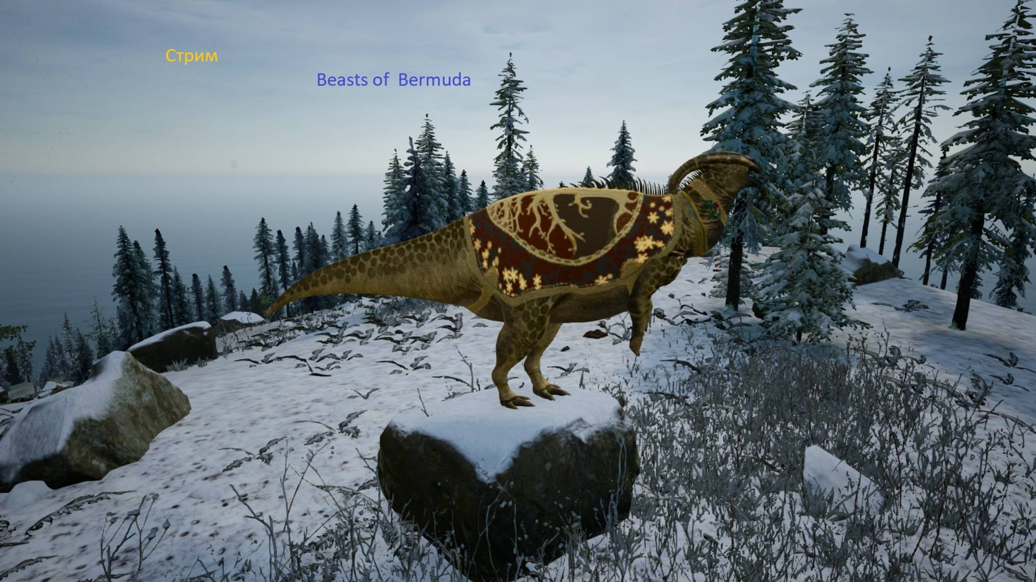 Beasts of Bermuda