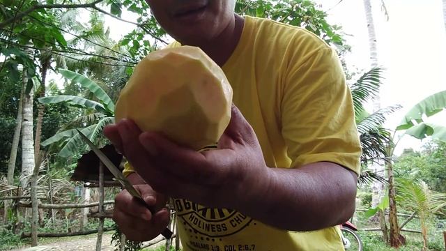 Preparation mag loloto ako ng papaya with sardinas